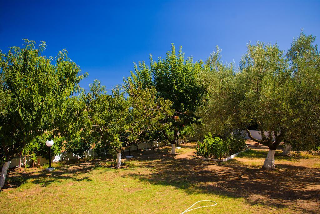 Studio Nastasia Afytos Exterior foto
